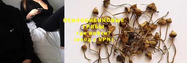экстази Арсеньев